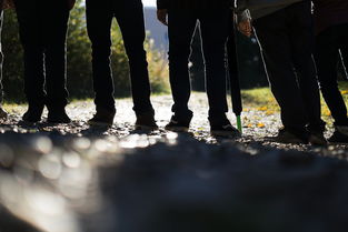 (风飙是什么意思)华语翻译风飙:振奋澎湃,引人入胜 (风飙是什么意思)华语翻译风飙:振奋澎湃,引人入胜