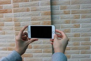 (平果手机怎么下载闽政通)如何在苹果手机上安装闽政通app八闽健康码？详细步骤和注意事项