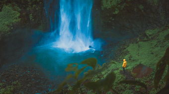 (我把勇者杀死了)我把勇者人生当成了内购游戏:探索无限未知,获取无尽收获 (我把勇者杀死了)我把勇者人生当成了内购游戏:探索无限未知,获取无尽收获
