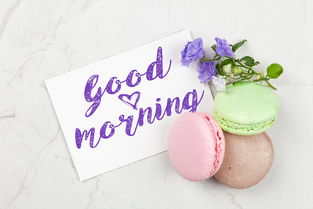 (迪迪豆豆大冒险故事)迪迪豆豆爱冒险：一部充满创意与惊喜的精彩动画片