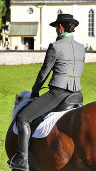 (马术骑士)新手入门：《马术世界》游戏中骑马与施法综合技巧完全攻略