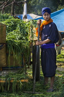 (熊出没农场游戏无限钻石金币)熊出没大农场999999钻石:探秘奇幻农场,解锁无限财富之门 (熊出没农场游戏无限钻石金币)熊出没大农场999999钻石:探秘奇幻农场,解锁无限财富之门