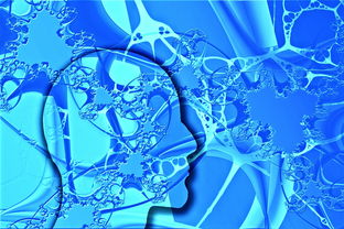 (3ds幻想生活全攻略)3DS幻想生活全地图素材中文:探索梦幻世界,畅游全新冒险之旅 (3ds幻想生活全攻略)3DS幻想生活全地图素材中文:探索梦幻世界,畅游全新冒险之旅