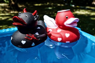 (揭秘魔魔如何征服勇士的名贵坐骑)揭秘魔魔如何征服勇士的名贵坐骑 (揭秘魔魔如何征服勇士的名贵坐骑)揭秘魔魔如何征服勇士的名贵坐骑