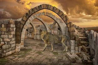 (丝路游戏官网)探寻古老丝路之旅:丝路手游官方网站,畅游历史文化之路 (丝路游戏官网)探寻古老丝路之旅:丝路手游官方网站,畅游历史文化之路