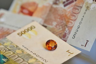 油管主播模拟器无限钞票版:打造属于你的财富与人气双丰收直播之路 油管主播模拟器无限钞票版:打造属于你的财富与人气双丰收直播之路