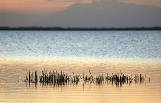 (10首绝美古诗词)十首顶级绝美的古诗,领略千年诗词之美 (10首绝美古诗词)十首顶级绝美的古诗,领略千年诗词之美