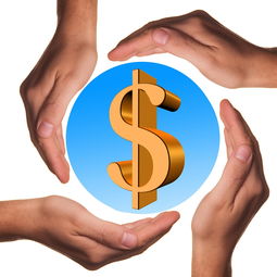 (何处解析)何处解释意思?在哪里可以寻找解释的含义和解答? (何处解析)何处解释意思?在哪里可以寻找解释的含义和解答?