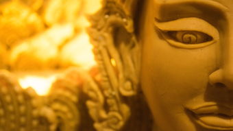 (巴兔游戏是真的吗)巴兔游戏到底算不算是一款驽子游戏? (巴兔游戏是真的吗)巴兔游戏到底算不算是一款驽子游戏?