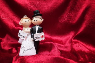 (免费观看爱情公寓第1季24集,尽请期待是第几集)免费观看爱情公寓第1季24集，尽请期待！