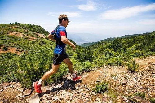 越野跑者中文版下载-越野跑者本官方下载安装v.9.85 越野跑者中文版下载-越野跑者本官方下载安装v.9.85