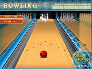 保龄球俱乐部现代3D手机版最新下载-保龄球俱乐部现代3D自制版下载v.0.66