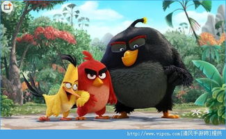 我的鸟制造1.45版本官方版下载-我的鸟制造1.45版本安卓版v.8.45 我的鸟制造1.45版本官方版下载-我的鸟制造1.45版本安卓版v.8.45