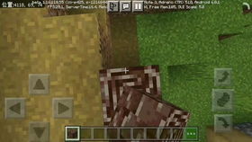 minecraft国际版基岩版无广告版2024下载-minecraft国际版基岩版手游下载最新版v.2.15 minecraft国际版基岩版无广告版2024下载-minecraft国际版基岩版手游下载最新版v.2.15