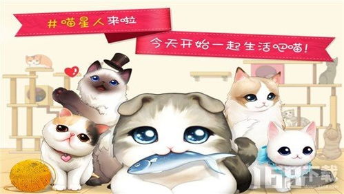 管道猫咪游戏正版下载-管道猫咪无限背包无限血下载v.7.71 管道猫咪游戏正版下载-管道猫咪无限背包无限血下载v.7.71