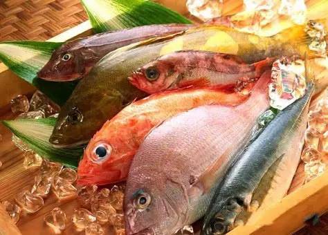 鱼吃鱼无敌秒杀科技无限金币免广告版下载-鱼吃鱼无敌秒杀科技汉化版下载v.4.48 鱼吃鱼无敌秒杀科技无限金币免广告版下载-鱼吃鱼无敌秒杀科技汉化版下载v.4.48