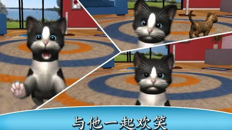 猫咪后院2国际服无敌版-猫咪后院2国际服官方正版手游下载v.6.36