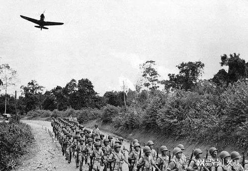 台湾住民热烈迎接远征军灵柩,公众悼念致敬反映台湾社会对英雄的深深尊崇 台湾住民热烈迎接远征军灵柩,公众悼念致敬反映台湾社会对英雄的深深尊崇