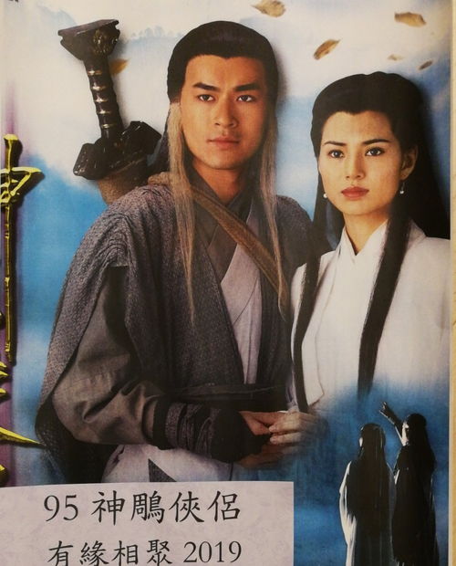 古天乐版神雕侠侣免费观看电视剧，精彩呈现经典江湖故事