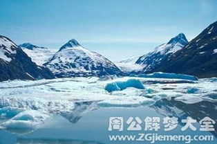 纵观冰原前线:公映纪录片《企鹅卧底的中文版》穿越南极冰川,揭秘企鹅生存秘境 纵观冰原前线:公映纪录片《企鹅卧底的中文版》穿越南极冰川,揭秘企鹅生存秘境