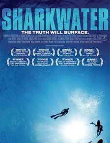 在潜入谎言之海中寻找真相的勇气和智慧