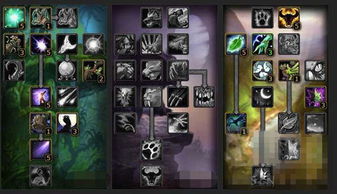 探索魔兽世界正式服德鲁伊的神奇能力和技能