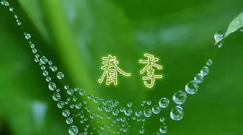 超高清1920x1080分辨率电脑壁纸，提升你的桌面视觉享受