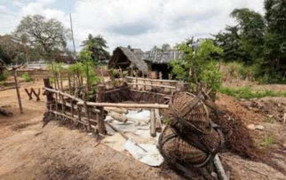 一起来探索户外探宝吧,发现自然中的宝藏,感受大自然的魅力和神秘。 一起来探索户外探宝吧,发现自然中的宝藏,感受大自然的魅力和神秘。