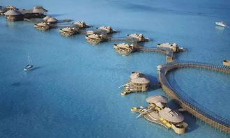 探秘梦想海岛王2024：未知世界的奇幻之旅