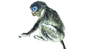 蛇、猪、鼠、猴:77778888新疆或2026年天天免费资料百度启发释义、专家解析解释与落实-远离虚假承诺沼 蛇、猪、鼠、猴:77778888新疆或2026年天天免费资料百度启发释义、专家解析解释与落实-远离虚假承诺沼