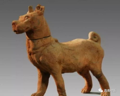 兔、鼠、龙、马：600图库最新资料2026或2026年天天免费资料百度免费版-预防剖析、专家解析解释与落实,杜绝不实的面具