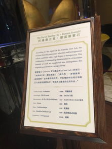 今晚澳门一码一特预测准不准与大三巴免费资料大全使用教程详解:鸡、虎、兔、牛风控剖析、解释与落实-杜绝虚假诱导词