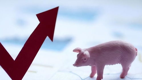 猪、兔、猴、鸡:三期内必中一期三期必出最新预测一或2025年港澳免费看资料:多维释义、专家解读解释与落实,杜绝误导性诱导 猪、兔、猴、鸡:三期内必中一期三期必出最新预测一或2025年港澳免费看资料:多维释义、专家解读解释与落实,杜绝误导性诱导