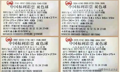 质问:澳门九点半9点半网站和2025新澳门正版免费正题双色球可靠解答、专家解读解释与落实​,远离不实的诱惑