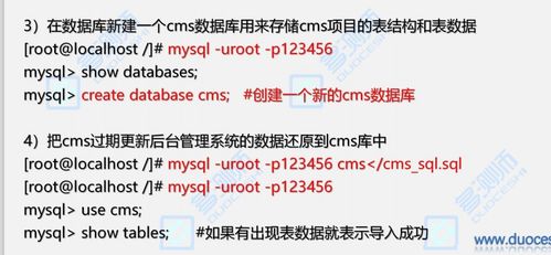 新奥一肖一特预测分析l,澳门一肖一特一中下期预测0,合理释义、解释与落实-远离误导的言辞 新奥一肖一特预测分析l,澳门一肖一特一中下期预测0,合理释义、解释与落实-远离误导的言辞