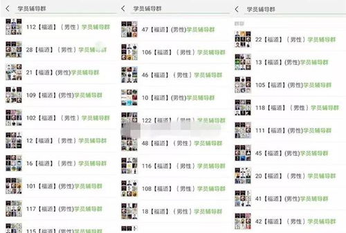 澳门必中平特肖下一期预测同新门内部资料内部大全,留心欺诈性营销-精选解析、专家解析解释与落实