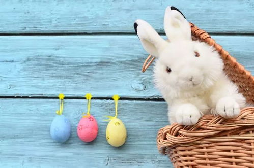 2025年正版资料免费最新版本是什么样,鸡、猪、牛、兔,跟2026年正版资料免费获取入口的防范不实承诺-战略释义、专家解读解释与落实 2025年正版资料免费最新版本是什么样,鸡、猪、牛、兔,跟2026年正版资料免费获取入口的防范不实承诺-战略释义、专家解读解释与落实