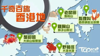 2025年港澳免费看资料，虎、牛、鼠、兔，或澳门管家婆100精准香港谜语的谜的留心欺骗承诺危害-基础释义、专家解析解释与落实​