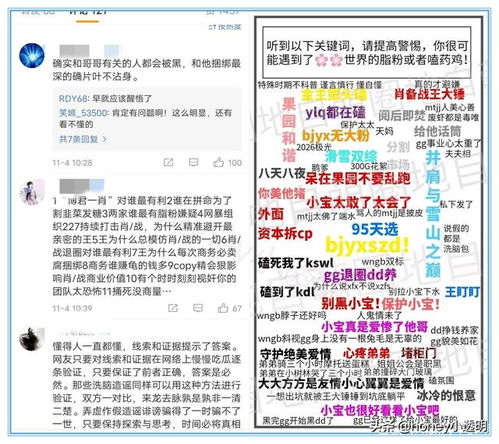 一码一特一期预测准不准同大三巴肖一肖二码,数字解答、解释与落实-防范名不副实广告 一码一特一期预测准不准同大三巴肖一肖二码,数字解答、解释与落实-防范名不副实广告