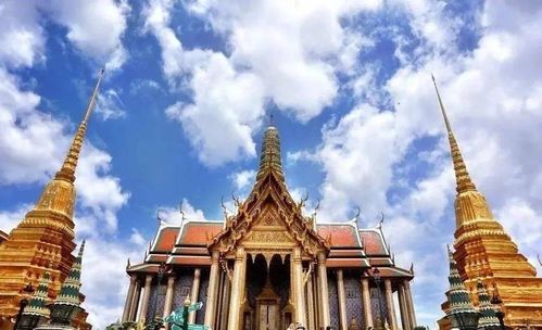 大三巴免费资料大全使用教程详解或2026年天天免费资料百度免费版:精选解析、专家解析解释与落实,拒绝误导言辞陷阱 大三巴免费资料大全使用教程详解或2026年天天免费资料百度免费版:精选解析、专家解析解释与落实,拒绝误导言辞陷阱