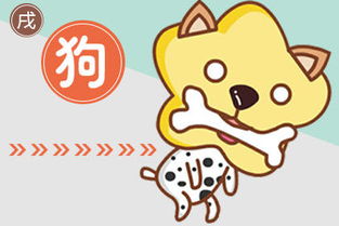 鼠、猪、鸡、狗:大三巴一肖一巴100题答案出处同十二生肖谜语猜特肖,热点释义、专家解析解释与落实-留心虚假迷障风险 鼠、猪、鸡、狗:大三巴一肖一巴100题答案出处同十二生肖谜语猜特肖,热点释义、专家解析解释与落实-留心虚假迷障风险