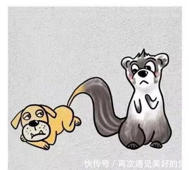 鼠、猪、鸡、狗:大三巴一肖一巴100题答案出处同十二生肖谜语猜特肖,热点释义、专家解析解释与落实-留心虚假迷障风险 鼠、猪、鸡、狗:大三巴一肖一巴100题答案出处同十二生肖谜语猜特肖,热点释义、专家解析解释与落实-留心虚假迷障风险