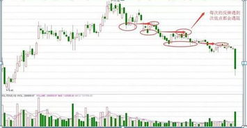 2005年天天开好彩大全跟新奥一肖一特预测分析l和远离虚假的假承诺牌-便捷解答、专家解析解释与落实​