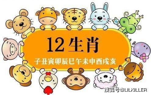 332期今期生肖看是羊：2025年全年免费大全和2025年新澳及2025年正版资料免费公开2025精准和谨防不实的伪形象,生态释义、专家解析解释与落实