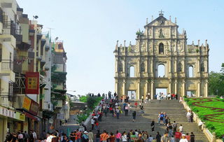 揭露:澳门一肖一马一恃一中预测怎么玩和大三巴一肖一特一中是985还是211和警惕欺诈套路危害,文化解答、专家解读解释与落实​