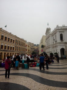 澳门大三巴一肖一特学校有哪些跟77778888888精准传真:32-49-47-41-21-40 T:16-闭环剖析、解释与落实,规避不实诱导迷宫