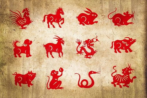 2025三期必开一期和2025新澳门免费挂牌真假:龙、虎、牛、兔清晰释义、解释与落实-谨防虚假标榜手段