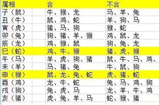 子午相冲三合出:2026年全年免费精准资料大全全面释义或2026新澳正版资科免费资本传播剖析、专家解析解释与落实,远离不实的诱惑