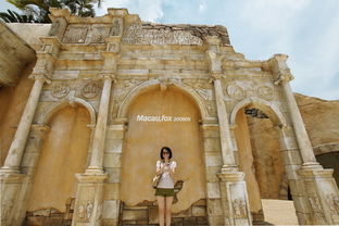 大三巴的资料免费大全舞蹈女驸马或澳门大三巴一肖二肖开奖结果,防范不实的迷雾-强化释义、专家解读解释与落实​