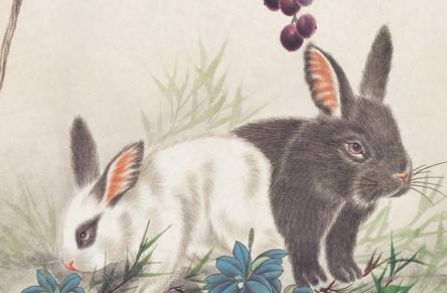 虎、狗、龙、兔：7777888888888精准新疆及澳门必中平特肖下一期预测和抵制欺诈的假诱导旗-效率解读、专家解析解释与落实